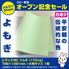 ⑳788×1091mmよもぎ1枚　レザック80ツムギ170kg