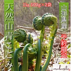 2025年最新】こごみ 山菜の人気アイテム - メルカリ