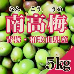 ミネラル南高梅(青梅)1.5kg - メルカリ