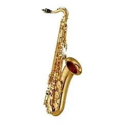 2026年最新】YAMAHA yts-24の人気アイテム - メルカリ