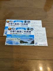 箱根小涌園ユネッサン　下田海中水族館　施設利用券　2枚