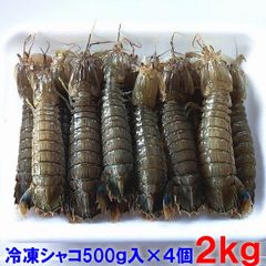 蝦蛄２ｋｇ（約60匹）500ｇ入り4パック シャコエビ しゃこえび 宮城県産
