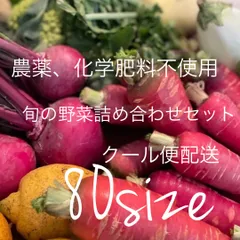 クール便配送[農薬、化学肥料不使用] 旬の野菜詰め合わせセット　80サイズ