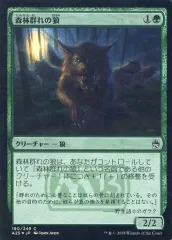 【中古】マジックザギャザリング 190/249[C]：【A25】【FOIL】森林群れの狼/Timberpack Wolf