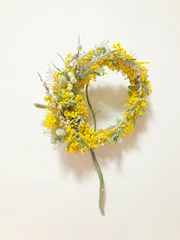 2024年最新】雲竜柳の人気アイテム - メルカリ 