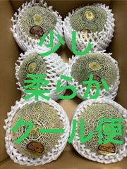 アンデスメロン Lサイズ 6個 箱込4キロ程度 茨城県産