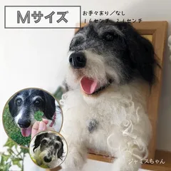 Мサイズ　羊毛フェルト『うちのコ』ポートレート