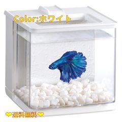 【クーポン配布中♪】Color:ホワイト ジェックス GEX AQUARIUM 楽アクア ホワイト 水換え簡単コンパクト水槽ベタ飼育W16×D17×H16cm 約2.1L