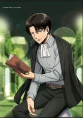 [Used] Tapestry Levi (Waiting) Original B2 Tapestry Attack Titan"