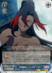 ヴァイス　このすばデッキ50枚 ヴァイス このすばデッキ50枚 ヴァイス このすばデッキ50枚