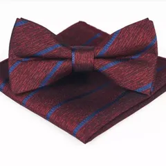 蝶ネクタイ　ポケットチーフ 2点セット チーフ　ビジネス 結婚式 イベント　パーティー　発表会　卒業式　卒園式　入社式　入学式　成人式　父の日　七五三　お祝い　クリスマス　ダンスパーティー　バーテンダー　ストライプ柄　レッド ネイビー 色　ワンタッチ　格安