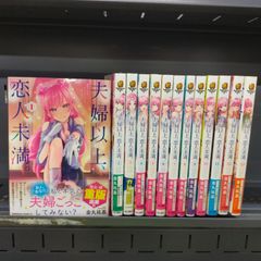 夫婦以上、恋人未満。　コミック　1-13巻セット (KADOKAWA)[Book]