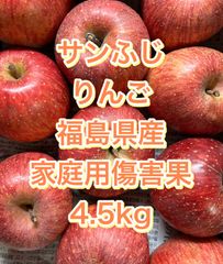 サンふじ　りんご　福島県産　家庭用傷害果　4.5kg