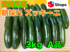宮崎県産 ハウス栽培 朝採れ ズッキーニ 3キロ A品 美肌効果 免疫力アップ 便秘解消 血圧対策 ダイエット