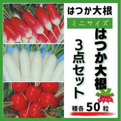 【野菜の種】からふる♪甘酢けはいかが？はつか大根の３品種　サラダにも☆