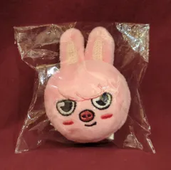 StrayKids 2023 Xmas POPUP STORE Changbin ぬいぐるみマグネット SKZOO