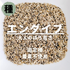 【種】エンダイブ　ニガチシャ　農薬不使用　300粒