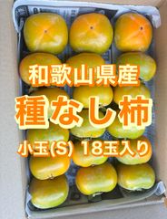 【農家直送！】和歌山県産　たねなし柿(刀根早生柿)  2kg箱　小玉　Sサイズ　18玉入り　訳アリ　家庭用　送料込み　10