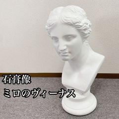 ヴィーナス石膏像　デッサン用 ミロのヴィーナス 石膏像 デッサン用 新日本造形 標準教材 - メルカリ
