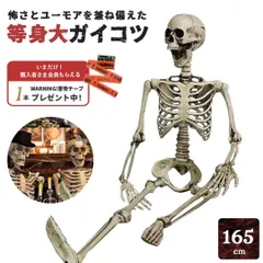 2026年最新】ガイコツ 等身大の人気アイテム - メルカリ