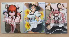 シュタインズゲート シュタゲ関連本12冊セット 非全巻 シュタインズ