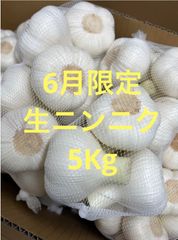残りわずか】青森県 福地ホワイト にんにく L5kg 加工 家庭用 乾燥