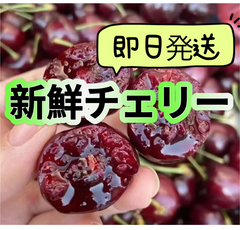 数量限定！！アメリカンチェリー　さくらんぼ　チェリー　箱込み1kg