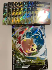 モルペコ　V-UNION  10セットのサムネイル