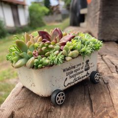 オーダー承ります 多肉植物寄せ植えそのまま飾れるちま寄せ花車