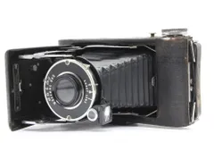 2025年最新】蛇腹カメラ kodakの人気アイテム - メルカリ
