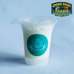 クリームミルクプリン×10個セット