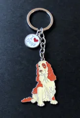 レノックス(スパニエル犬) Jewelled Springer Spaniels