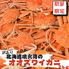 5月3日~5月6日お問い合わせ・発送は休止させて頂きます。【訳あり】オオズワイガニ 姿 足折れ 2kg(およそ6尾~13尾)小サイズ 大容量 北海道産 ボイル 送料無料 冷凍 かに 蟹 カニ 海鮮鍋 鍋 だし 出汁 噴火湾 函館 ご褒美 お祝い 母の日 父の日のサムネイル