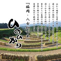 数量限定 掛け干し 棚田 米 令和6年 新米 ひのひかり 玄米10キロ 送料無料