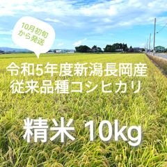 令和5年度新潟長岡産従来品種コシヒカリ 精米10kg