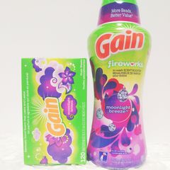 ゲイン Gain ムーンライトブリーズ 海外 希少
