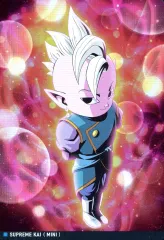 【中古】アニメ系トレカ 5-04[R]：界王神(ミニ)