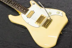 2024年最新】bill lawrence l-500の人気アイテム - メルカリ
