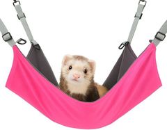 Item thumbnail for item 296ddcff-dbbc-456b-a507-78ba76872386