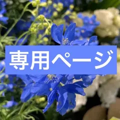 よぴ様　ご確認用ページ　4/21まで