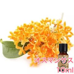 オスマンサス 金木犀 キンモクセイ 10ml×1本 エッセンシャルオイル アロマオイル 無希釈 天然 無添加 アロマストーン アロマディフューザー 芳香 ルームフレグランス 香水