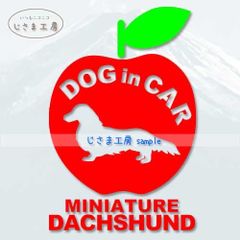 ミニチュアダックスフンドのかわいいドッグインカー‼︎アップルのステッカーです。