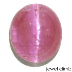 2025年最新】ラズベリルの人気アイテム - メルカリ 