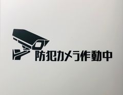【カッティングステッカー】防犯カメラ作動中