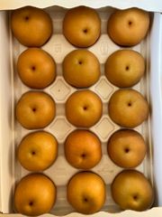 九州産　梨　大容量5キロ　九州の産地&品種リレーをお届け大分 プレゼント　甘い梨　お試し 旬 果物　お取り寄せ　通販 5Kg グルメ　送料込み　秋