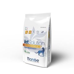 ベッツソリューションVetSolution 胃腸サポート 2kg×2袋 - メルカリ