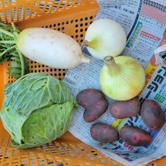 自然栽培野菜セット　3.5キロ～