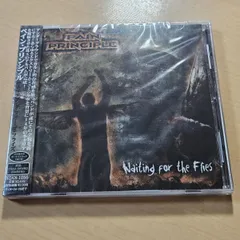 未開封 Pain Principle / Waiting For The Flies ペイン・プリンシプル USメタルコアのサムネイル