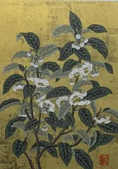 2025年最新】小泉 淳作の人気アイテム - メルカリ