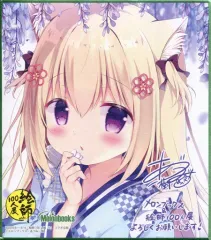 ♡B2タペストリー♡ しろきもち/あづみ一樹/しばいぬにき/ぴこぴこ